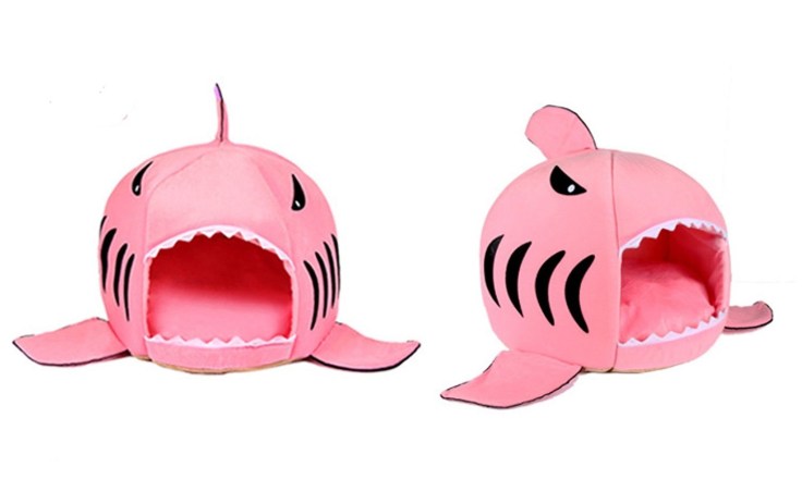 61VLr-QnzyL._SL1500_